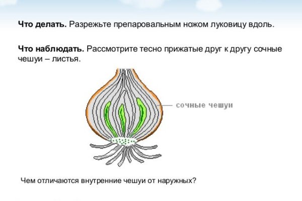 Как зайти на кракен с компа