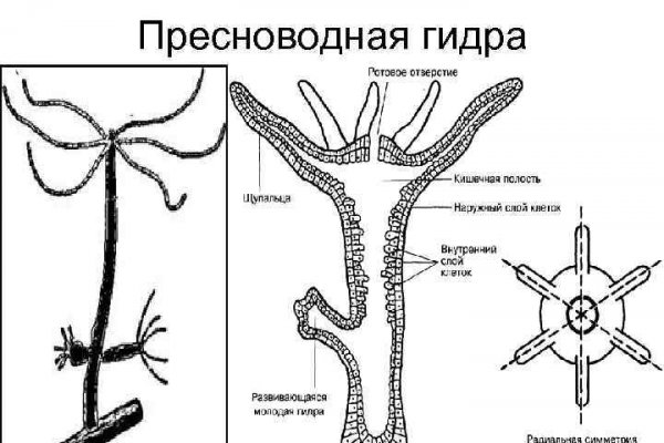 Как зайти на кракен в торе