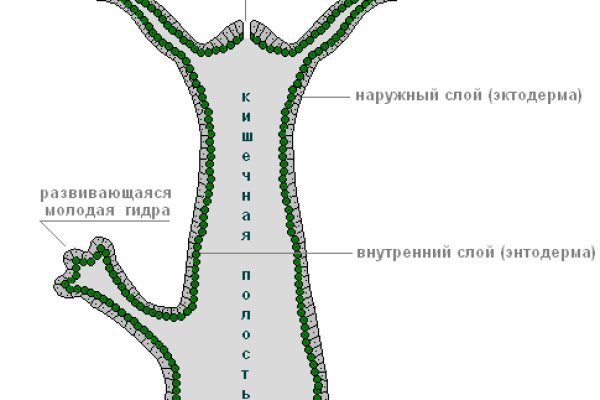 Кракен магазин зеркало