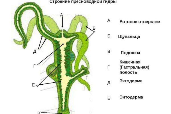 Что можно купить в кракене