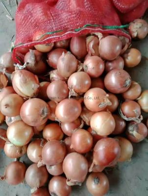 Кракен зеркало onion