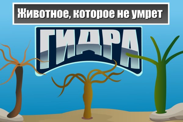 Ссылка на кракен tor